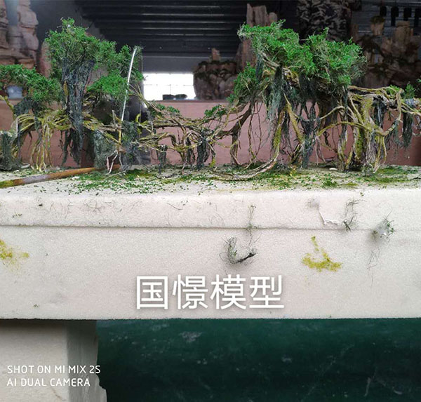 伊兰县场景模型